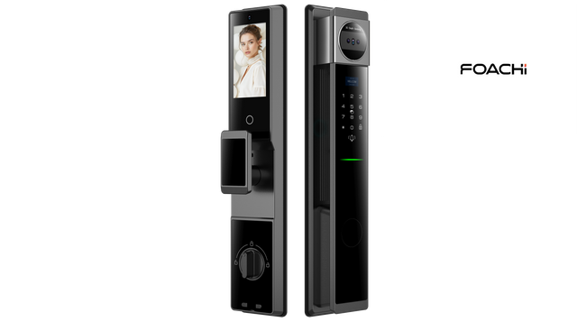 Smart Lock Q80